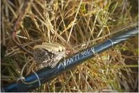 Thomas & Thomas Avantt Thomas & Thomas Avantt -Fly Fishing Equip Shop Avantt 906 web 200x 538c5d6a 2d2e 49a8 b891 e69209d84189