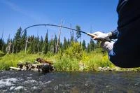 Thomas & Thomas Avantt Thomas & Thomas Avantt -Fly Fishing Equip Shop DSC 5159 200x b42b29a7 2dd6 42d1 a344 7320c092552d