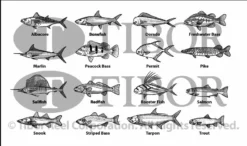 Tibor Signature Series Fly Reels With Engraving -Fly Fishing Equip Shop ScreenShot2021 08 30at4.05.56PM