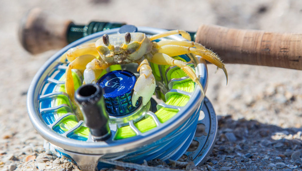 Fly Fishing Equip Shop 2 Fly Fishing Equip Shop -Fly Fishing Equip Shop O7IO